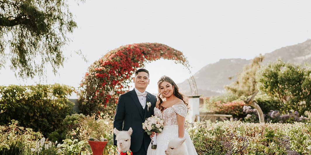 Boda Remi y Edison